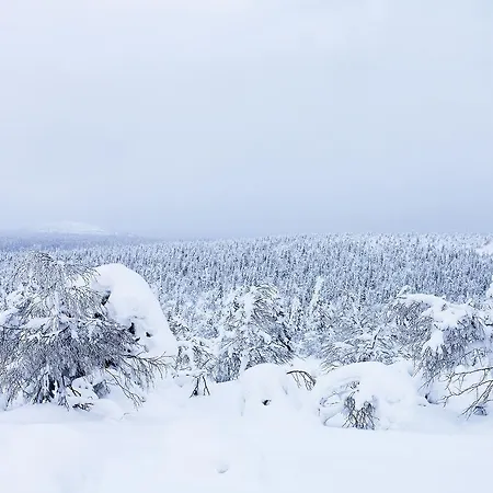 Naruskan Helmi Parque de vacaciones *